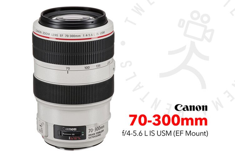 Canon EF 70-300mm f/4-5.6L IS USM Lens