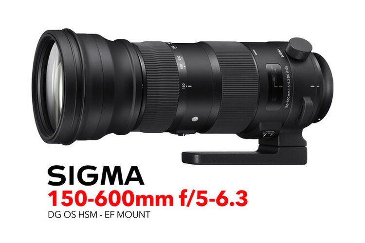 Sigma 150-600mm f/5-6.3 DG OS HSM Lens (EF mount)