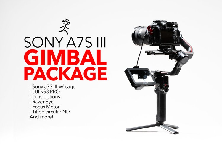 Sony Alpha a7S III with DJI Ronin RS 4 Pro