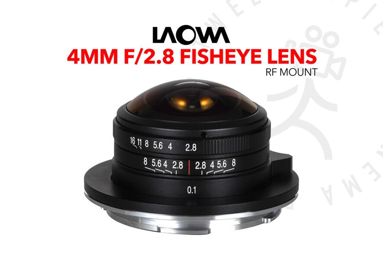 Venus Optics Laowa 4mm f/2.8 Fisheye Lens (RF Mount)